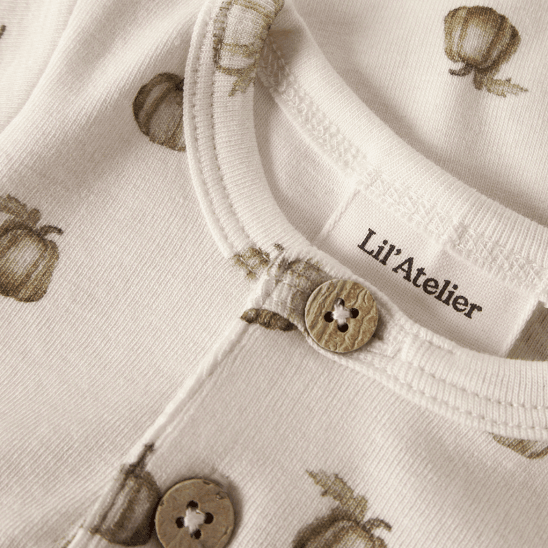 Lil' Atelier Nbmgayo body, Turtledove