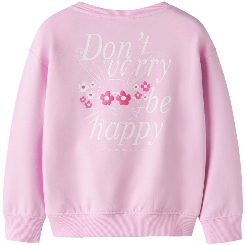 Name It Nmfdabitta sweatshirt til småbarn, Pirouette