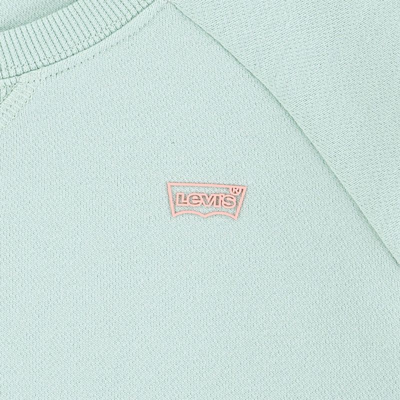 Levis Batwing sweatshirt til barn, Celadon