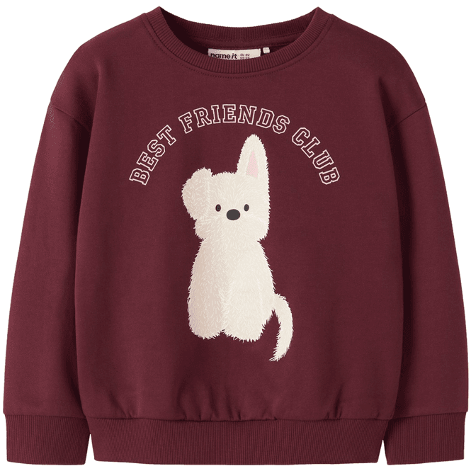 Hovedbilde Name It Nmfviloui sweatshirt til småbarn, ...