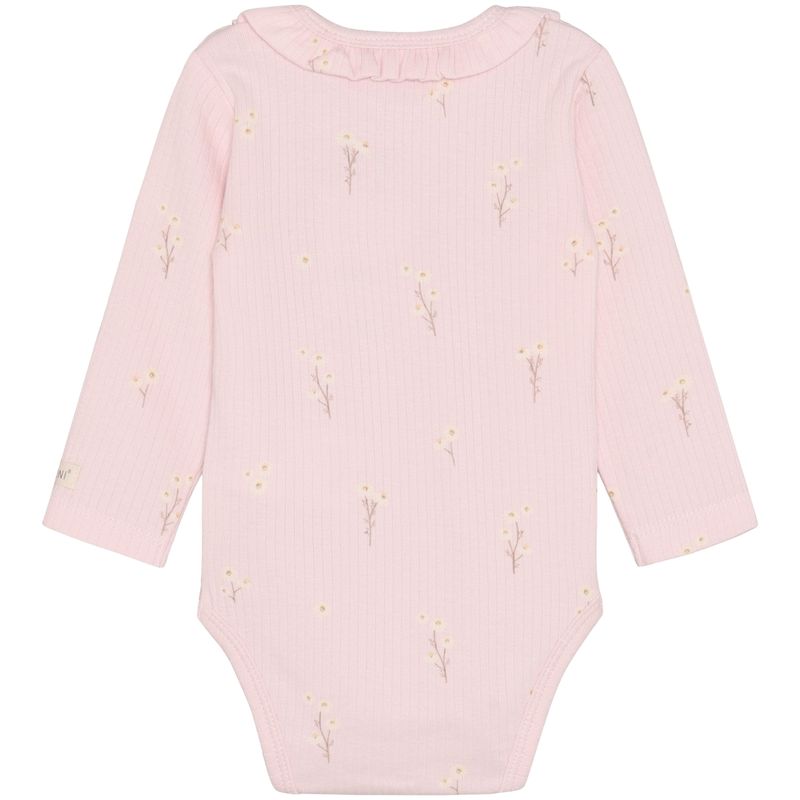 Fixoni Rib body m/print, Potpourri