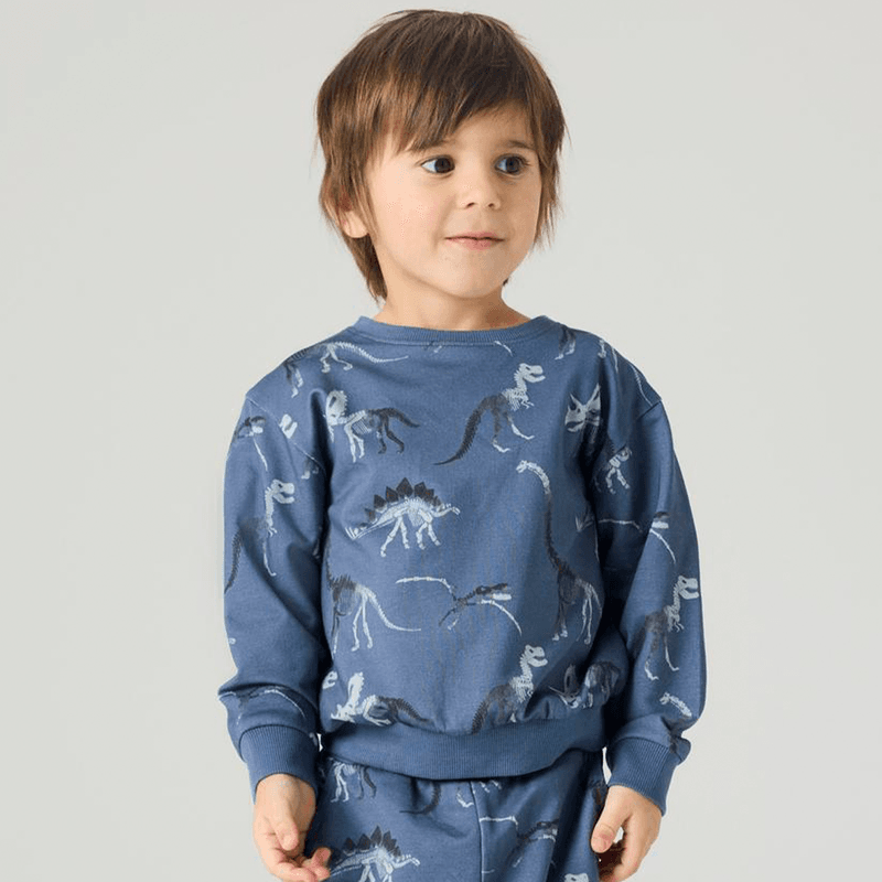 Name It Nmmfabia sweatshirt til småbarn, Vintage Indigo