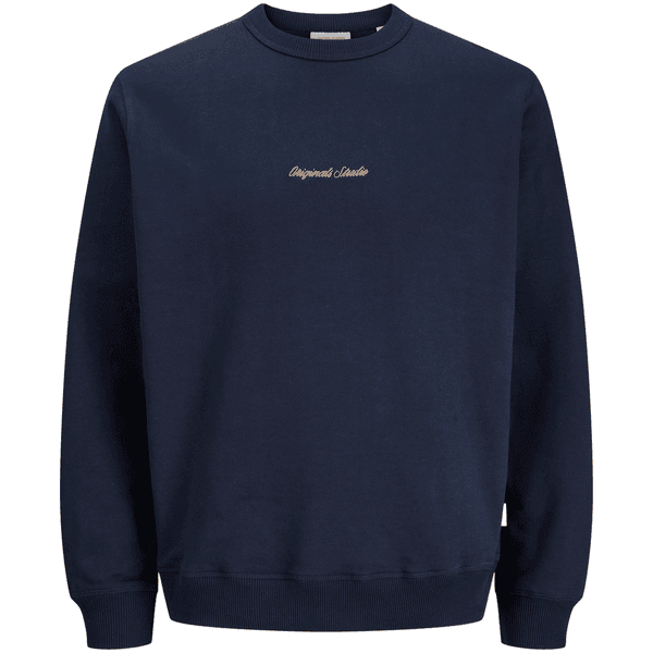 Hovedbilde Jack and Jones Junior Jornorrebro sweatshirt, Sky ...